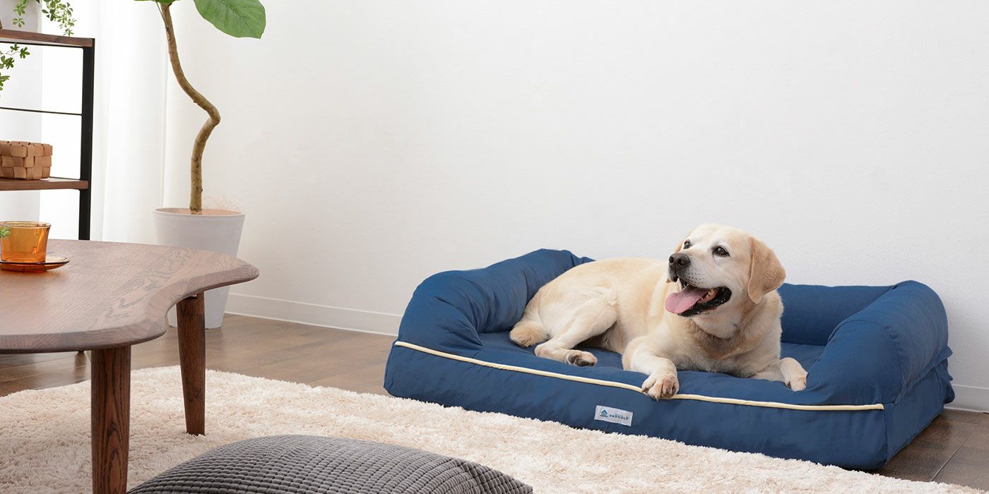 愛犬と愛猫のためのベッド 公式 Emoor エムール オンラインショップ 寝具 家具 インテリアのネット通販 愛犬と愛猫のためのベッド 公式 Emoor エムール オンラインショップ 寝具 家具 インテリアのネット通販