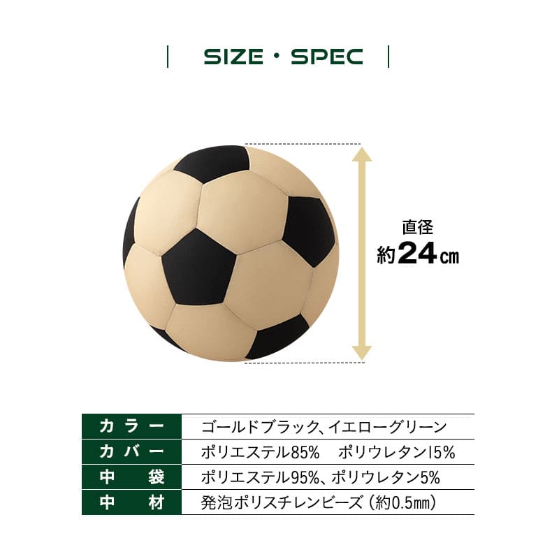 /page/img/emoorday2025/fx-soccer-c20_sp_06.jpg