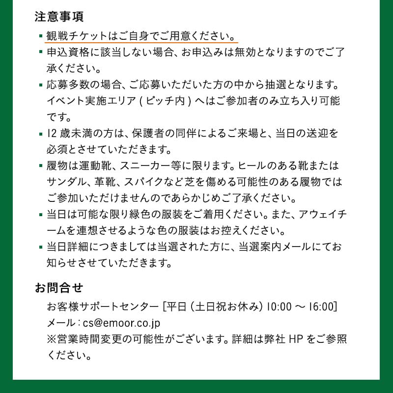 /page/img/emoorday2025/fx-verdybigc_sp_10.jpg