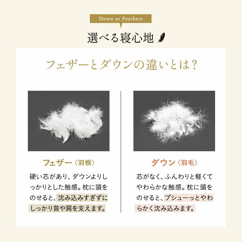 リッチフェザークッション 45×45cm 正方形 日本製 国産 綿100％ 天然 グース がちょう ガチョウ 羽根 クッション 硬め ホテル仕様