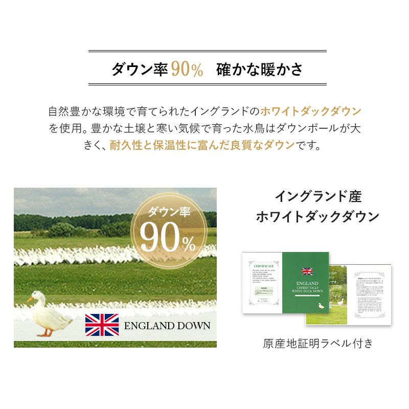 日本製 エクセルゴールドラベル 羽毛布団3点セット シングル 羽毛布団 敷き布団 枕 組布団 掛け敷き枕 高品質 オールシーズン イングランド産 ホワイトダックダウン 93％