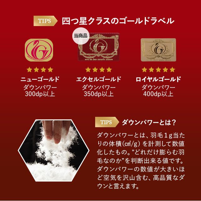 日本製 エクセルゴールドラベル 羽毛布団 シングルサイズ フランス産ホワイトダックダウン90%（パワーアップ加工済）新合繊生地使用 収納ケース付き
