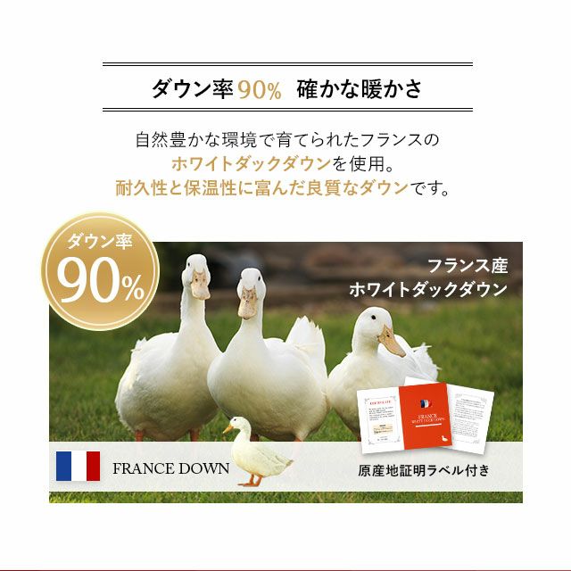 日本製 エクセルゴールドラベル 羽毛布団 シングルサイズ フランス産