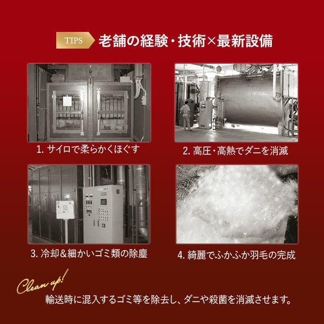 日本製 エクセルゴールドラベル イングランド産ホワイトダックダウン90％ 羽毛布団