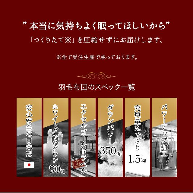 日本製 エクセルゴールドラベル イングランド産ホワイトダックダウン90％ 羽毛布団