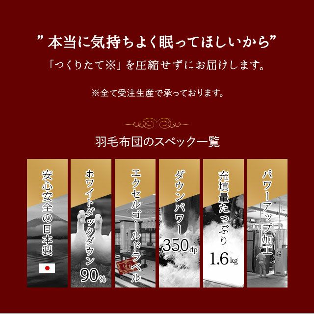 日本製 エクセルゴールドラベル イングランド産ホワイトダックダウン90％ 羽毛布団