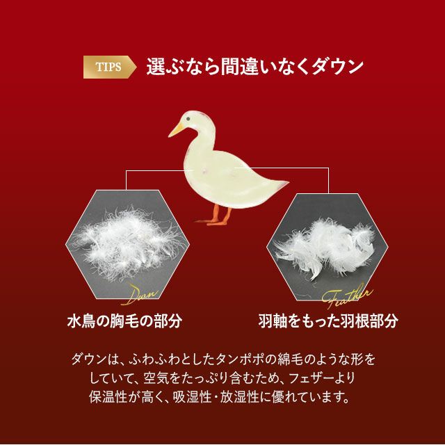 日本製 エクセルゴールドラベル イングランド産ホワイトダックダウン90％ 羽毛布団