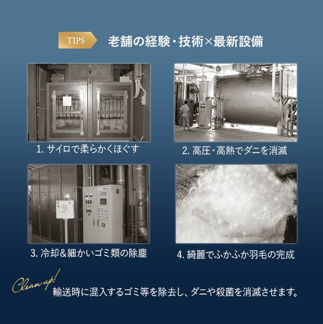 日本製 ロイヤルゴールドラベル 羽毛布団 ダブル 収納ケース付き ポーランド産 ホワイトダックダウン 93％