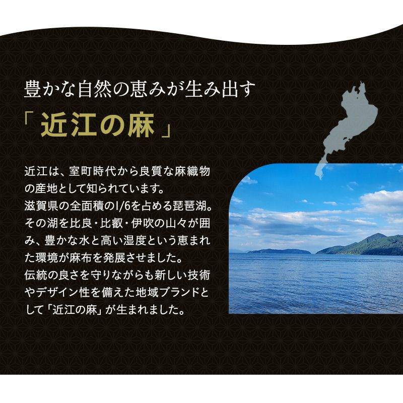 そばがら枕 36×17cm 日本製 国産 天然そばがら 近江の麻 麻100％ 天然素材 高さ調節可能 軽量 コンパクト 四角 長方形 硬め かため 吸湿発散 通気性 抗菌作用 そば殻枕 ごろ寝枕 昼寝枕 テレビ枕 和風 無地