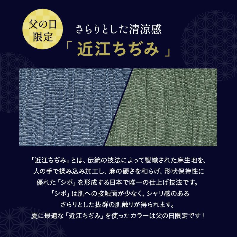 そばがら枕 36×17cm 日本製 国産 天然そばがら 近江の麻 麻100％ 天然素材 高さ調節可能 軽量 コンパクト 四角 長方形 硬め かため 吸湿発散 通気性 抗菌作用 そば殻枕 ごろ寝枕 昼寝枕 テレビ枕 和風 無地