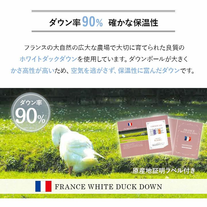 日本製 エクセルゴールドラベル 羽毛肌掛け布団 ダウンケット 羽毛布団 キング 収納ケース付き フランス産 ホワイトダックダウン 90％