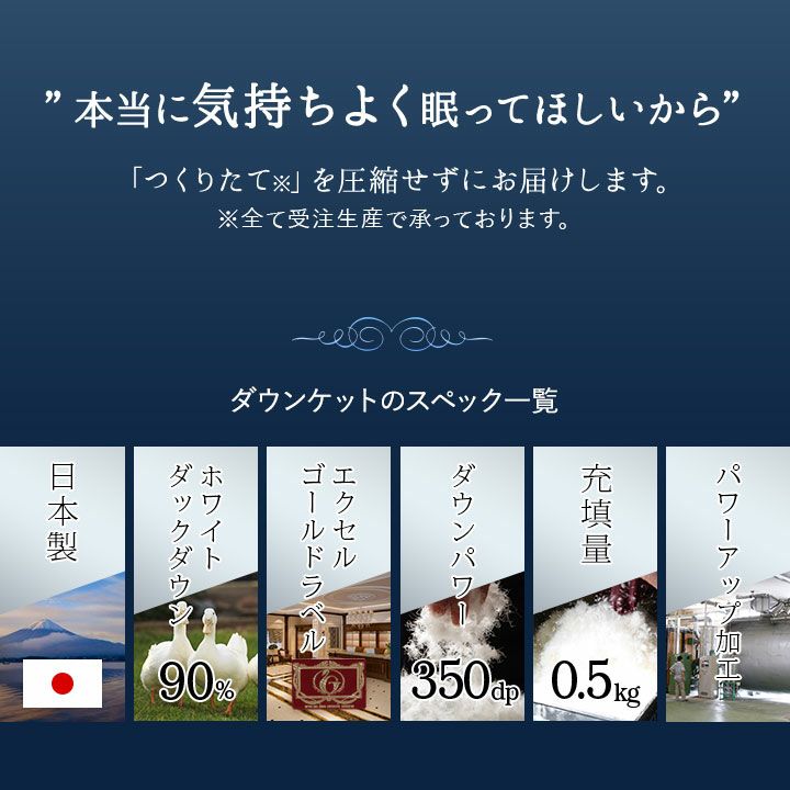 日本製 エクセルゴールドラベル ダウンケット 羽毛肌掛け布団 羽毛布団 クイーン 非圧縮 高品質 オールシーズン ハンガリー産 ホワイトダックダウン 90％