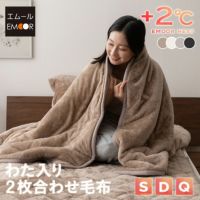 わた入り 2枚合わせ毛布 ブランケット シングル 洗える 吸湿発熱 冬用 防寒 あったか 暖かい ふわふわ エムールヒート EMOOR HEAT