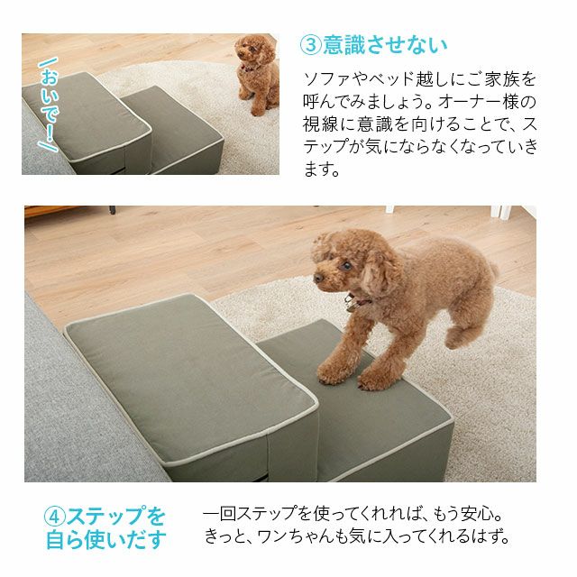 ドッグステップ ステップ スロープ 犬 ペット用 階段 ペットステップ