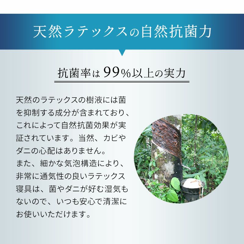 天然ラテックス 枕高通気性/抗菌/抗カビ 梅雨時期特別セール - 枕