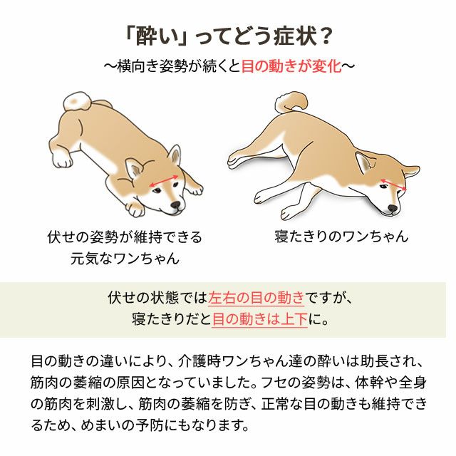 寝たきり防止 体位変換 介護用ドッグベッド 寝具 家具の専門店 エムール