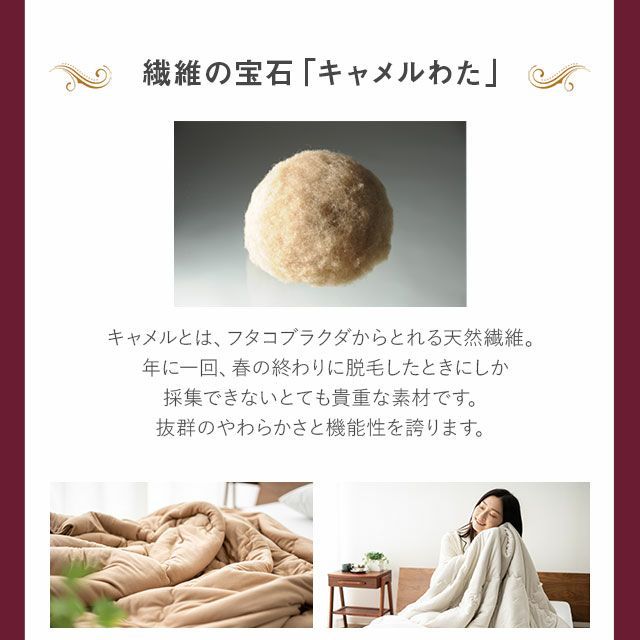 モダール】 日本製 ふわふわとろとろ キャメル掛け布団 シングル