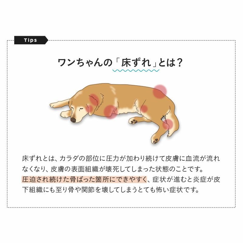 介護用マット 犬用 猫用 ペット用 マットレス クッション 3Dファイバー 通気性抜群 体圧分散 低刺激 丸洗いOK 寝たきり 床ずれ防止 怪我 病気 嘔吐 粗相 シニア 介護 老犬 老猫