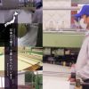 敷き布団シングルサイズ日本製『クラッセ』三層構造(敷布団敷きふとん敷きぶとん敷ふとん敷ぶとん布団ふとん防虫抗菌防臭)