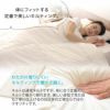 肌掛け布団 シングルサイズ 日本製 防ダニ ダニ防止 防虫 抗菌 防臭 『クラッセライトゼロ』