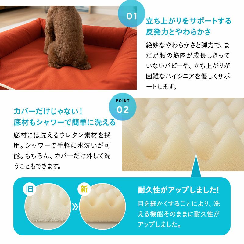 パピー、成犬、シニアの年代に合わせて選べるペット用3Dベッド