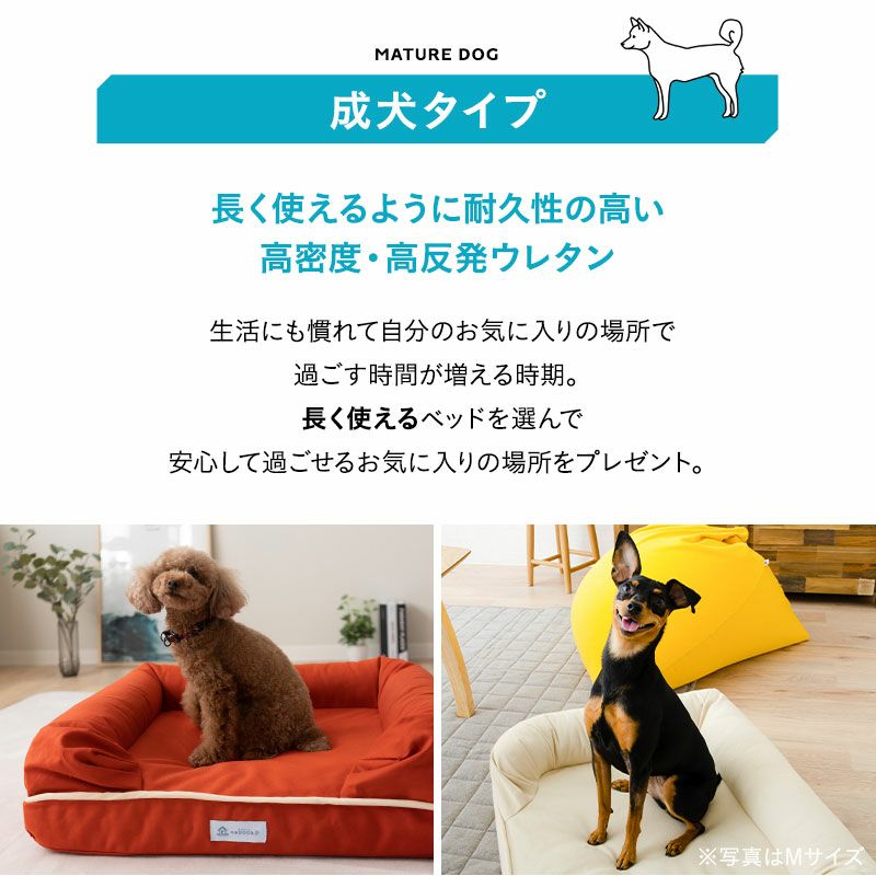 パピー、成犬、シニアの年代に合わせて選べるペット用3Dベッド