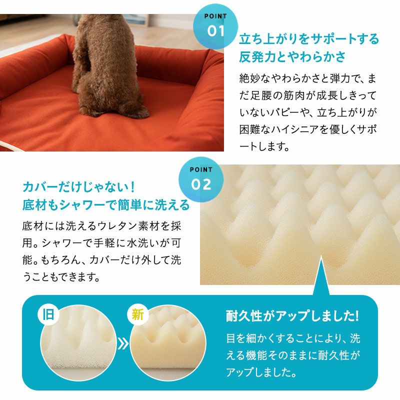 年代に合わせて選べる3Dベッド ペット用ベッド 犬用ベッド ペットベッド ドッグベッド パピー 成犬 シニア 老犬 小型犬 犬 猫 ペット