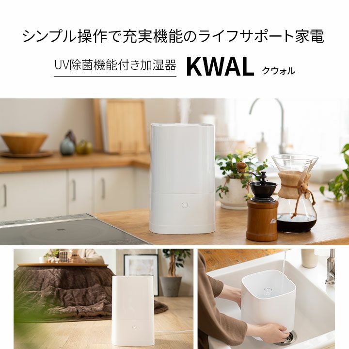 加湿器 卓上 除菌加湿器 Luwior 電解水除菌 超音波加湿器 大容量 4L