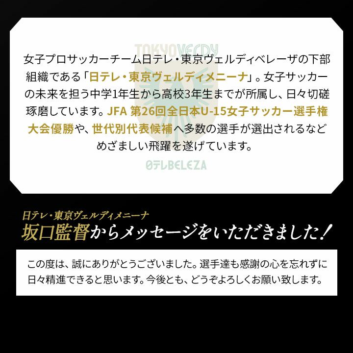 軽量 コンパクト 折りたたみ アルミ マッサージベッド エステベッド 収納ケース付き 高さ8段階調節可能 背もたれ10段階リクライニング可能 持ち運び可能