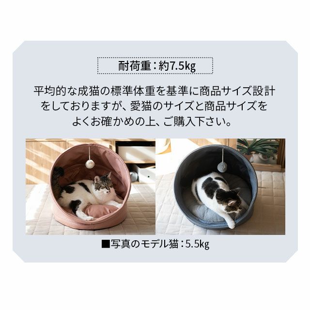 【送料無料】愛猫のために最高の寝具を。元気に遊んで、ゆったり寝ころんで。気ままな猫の生活に寄り添うハウス&ベッド「ASONERU」。