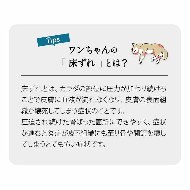 【送料無料】 カウチベッド シニア用 介護用 ベッド Mサイズ Lサイズ 滑り止め付き 低床 L字型 あご乗せ 床ずれ予防 高反発ウレタン