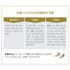 大切な家族のためのロングドッグスロープ なだらかな傾斜 足腰の負担が少ない 昇り降りしやすい 安全性が高い 超小型犬 短足犬 老犬 シニア 介護