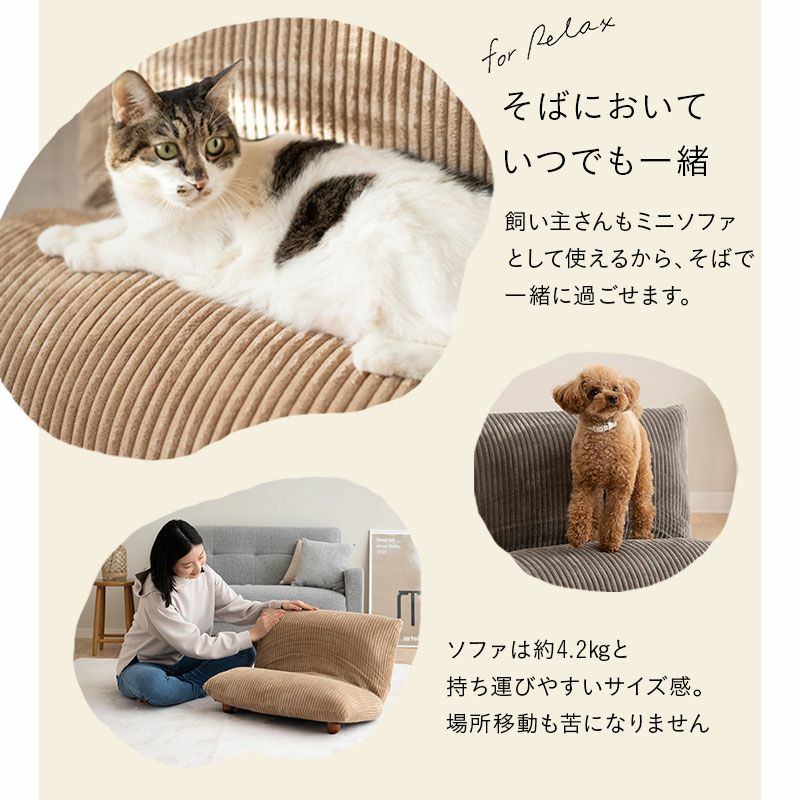 ミニソファベッド 猫 キャット 犬 ドッグ ペット ベッド いつでもいっしょ 寝具・家具の専門店 エムール