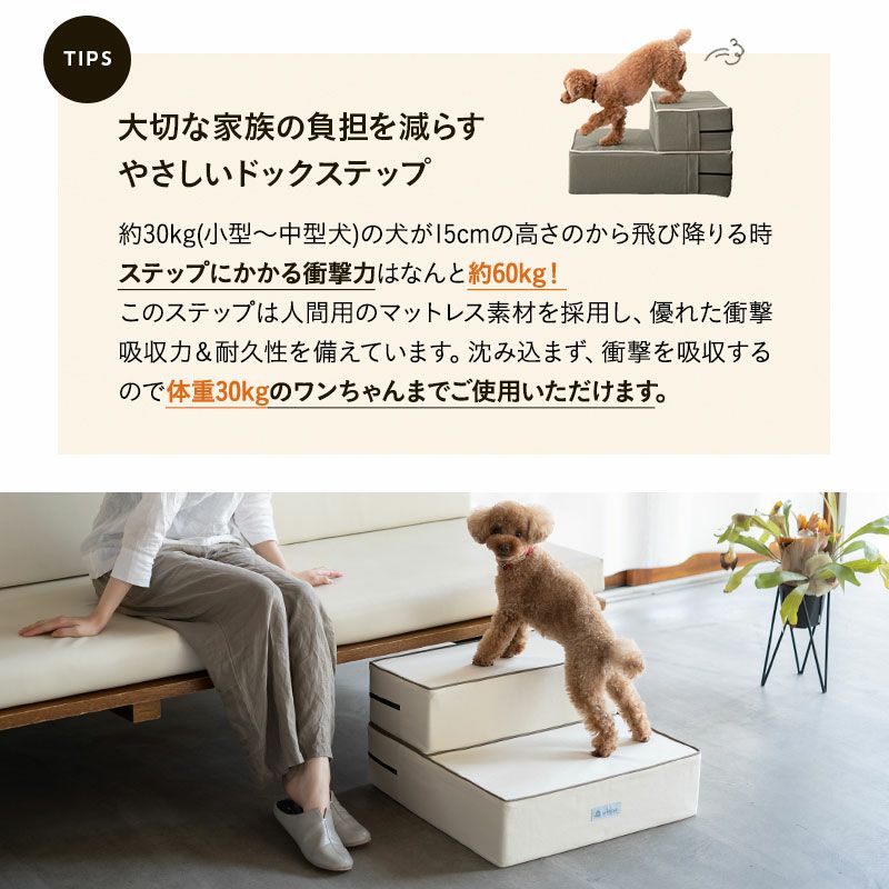 ドッグステップ ワイドタイプ 二つ折り対応 犬用ステップ ペット用ステップ ステップ 踏み台 階段 室内犬 超小型犬 小型犬 中型犬 パピー シニア 高齢 段差解消 ヘルニア 脱臼 ケガ防止 介護