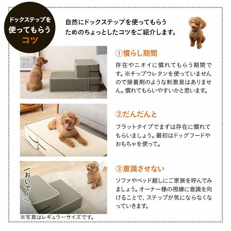 ドッグステップ ワイドタイプ 二つ折り対応 犬用ステップ ペット用ステップ ステップ 踏み台 階段 室内犬 超小型犬 小型犬 中型犬 パピー シニア 高齢 段差解消 ヘルニア 脱臼 ケガ防止 介護