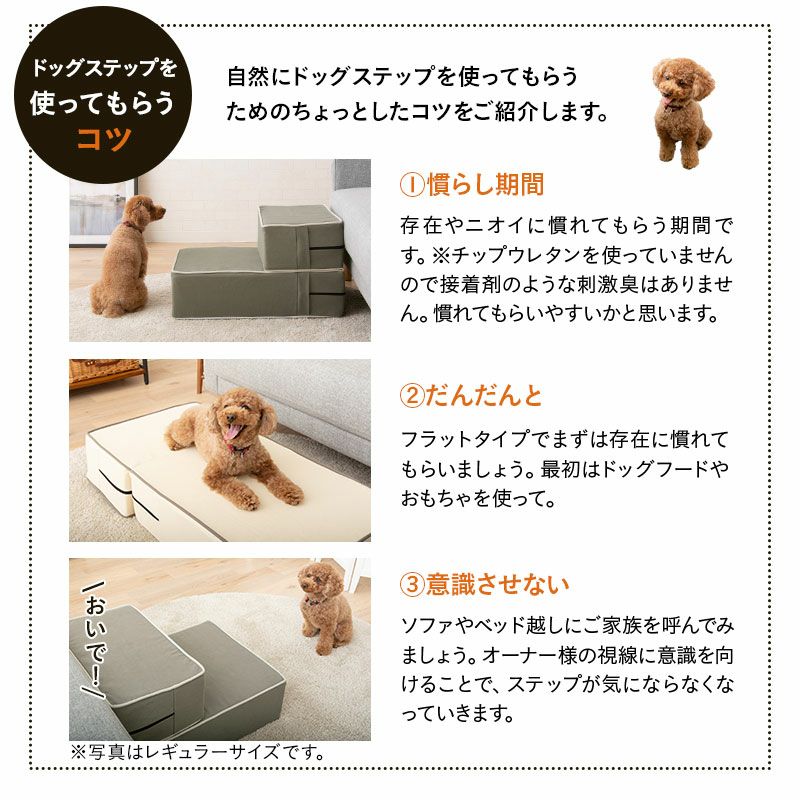ドッグステップ ワイドタイプ 二つ折り対応 犬用ステップ ペット用ステップ ステップ 踏み台 階段 室内犬 超小型犬 小型犬 中型犬 パピー シニア 高齢 段差解消 ヘルニア 脱臼 ケガ防止 介護