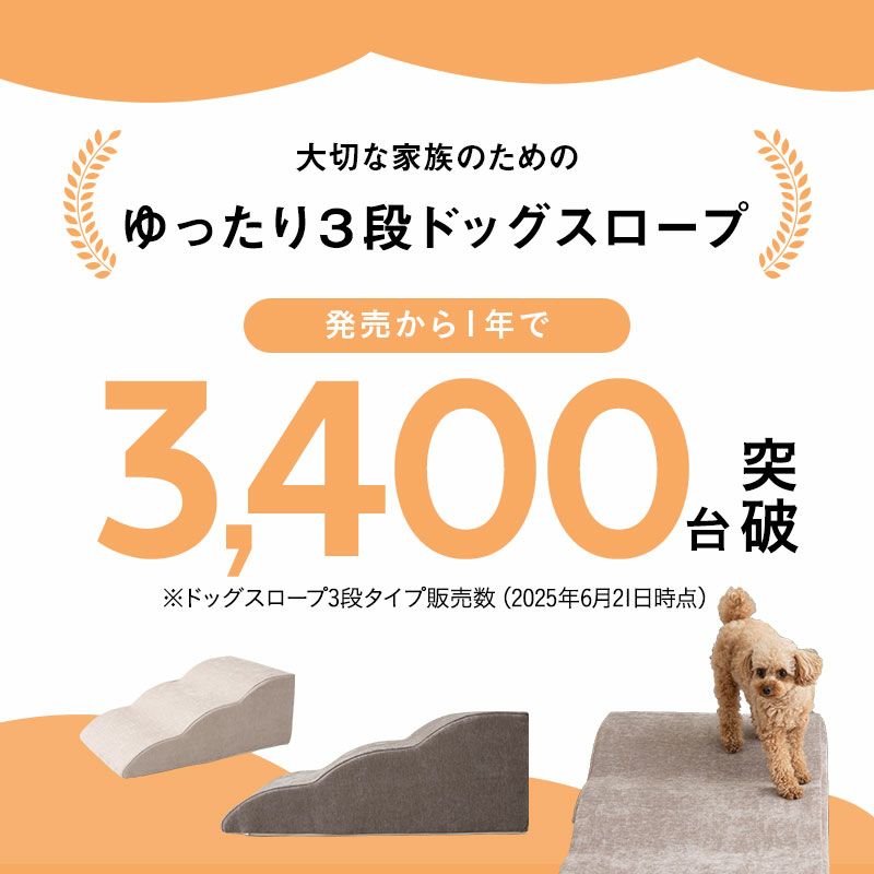 3段ドッグスロープ累計販売数