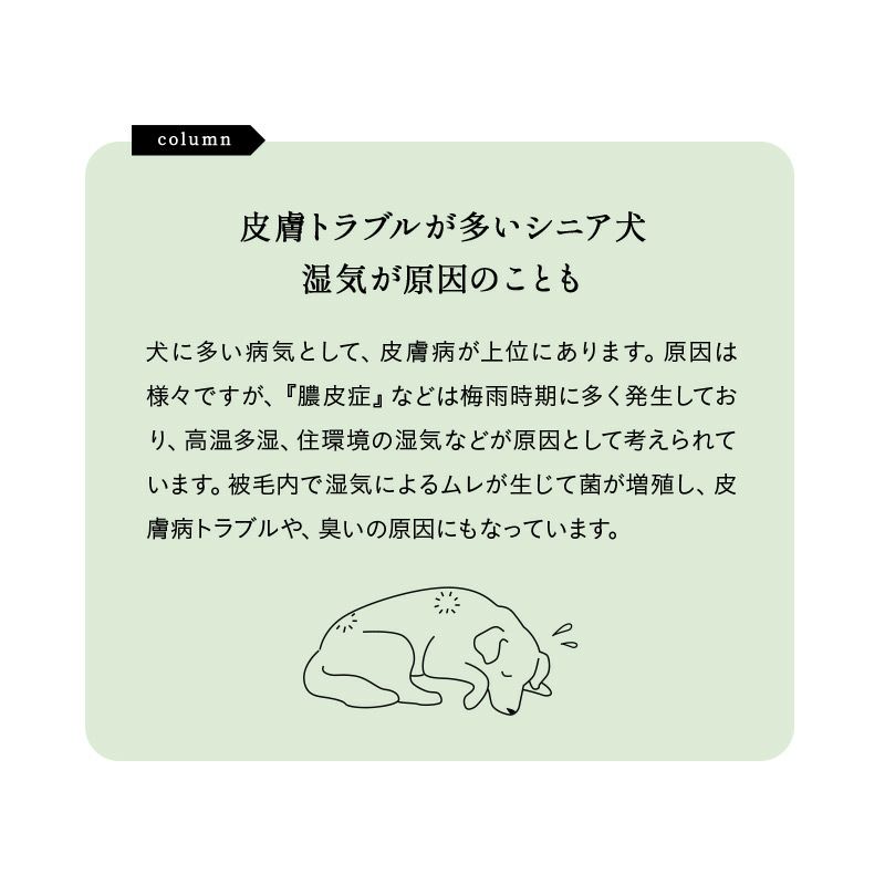 ケアベッド ドッグベッド 犬用ベッド 枕付き 撥水カバー 低床 シニア 老犬 介護 体圧分散 通気性 床ずれ 薄毛 皮膚トラブル 対策 ベッド マットレス やわらかい あご乗せ ペット用ベッド ペットベッド 小型犬 中型犬 犬 猫 ペット