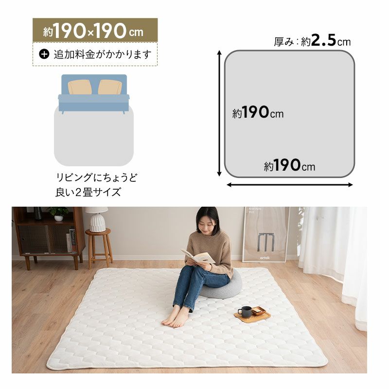 【至福の睡眠】 ラグ ラグマット カーペット 絨毯 130×190cm 190×190cm 190×240cm 約1.5畳 約2畳 約3畳 長方形 正方形 マシュマロ しっとり 冬用 寒さ対策 防寒対策 敷きパッド マット