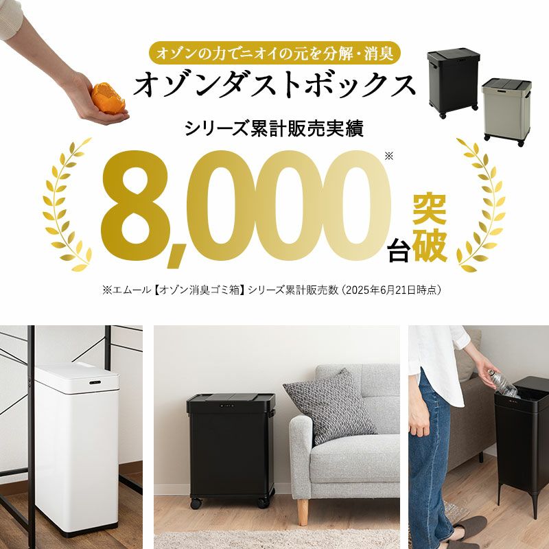 オゾン消臭機能付 電動スライドダストボックス 30L 脚付き リビング用 自動開閉 1年保証 30Lゴミ袋対応 高機能 ゴミ箱 ダストボックス 横25.5×縦34.5×高さ66 ふた付き 角型 スクエア おしゃれ スリム 省スペース