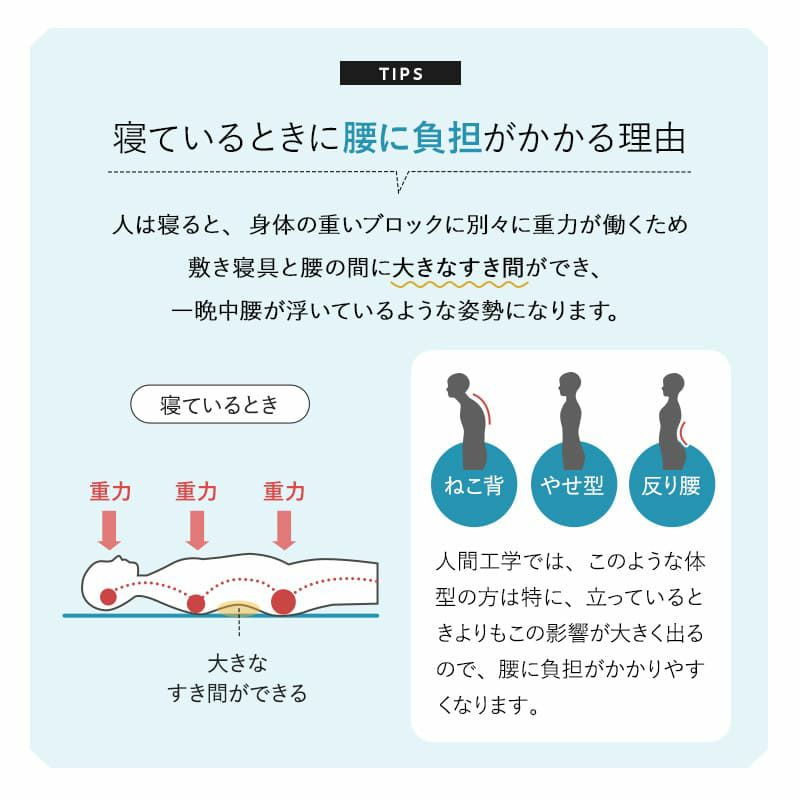 すき間を埋める 腰まくら 腰枕 クッション 枕 腰用 高さ調節シート付き 腰痛 猫背 反り腰 こり 負担 解消 横向き寝 やせ型 健康