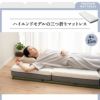 畳マット＆敷き寝具 2点セット スリム コンパクト 長座布団 ごろ寝マットレス コンパクトマットレス 折りたたみ 高反発 ウレタン 賃貸 一人暮らし ワンルーム 1R 狭小住宅 子供部屋