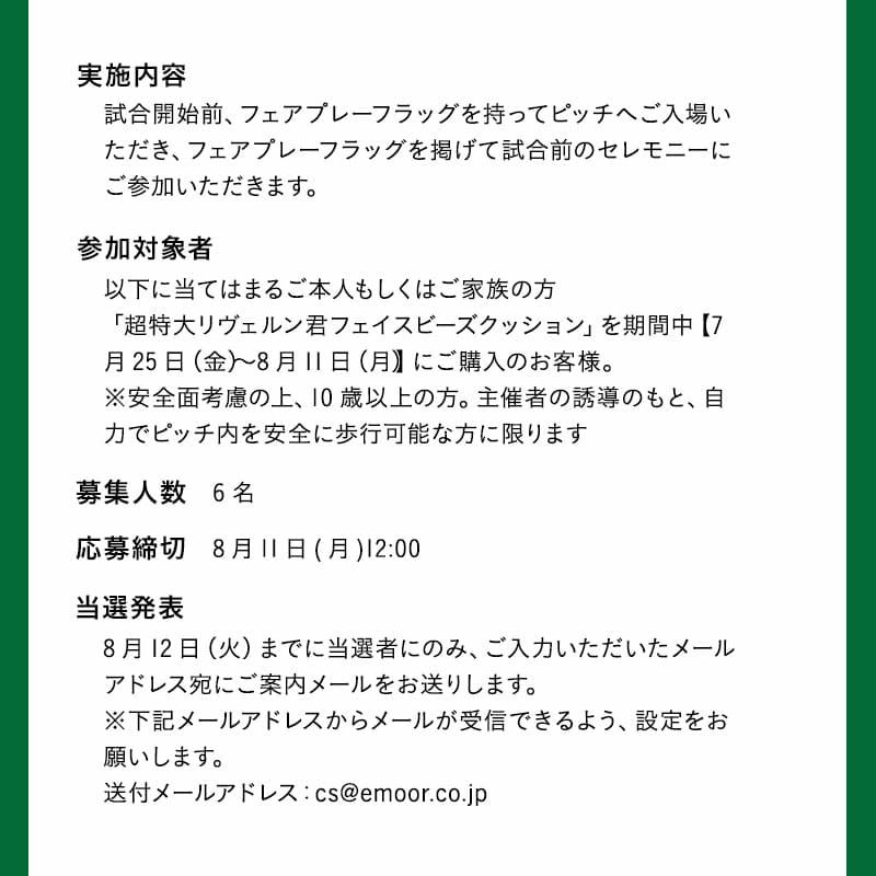 【エムールデイ限定商品】 TOKYO VERDY × EMOOR 公式コラボ リヴェルン 超特大ビーズクッション 75×65cm 大きい ジャンボサイズ ソファ 椅子 クッション 背もたれ マスコットキャラクター 東京ヴェルディ